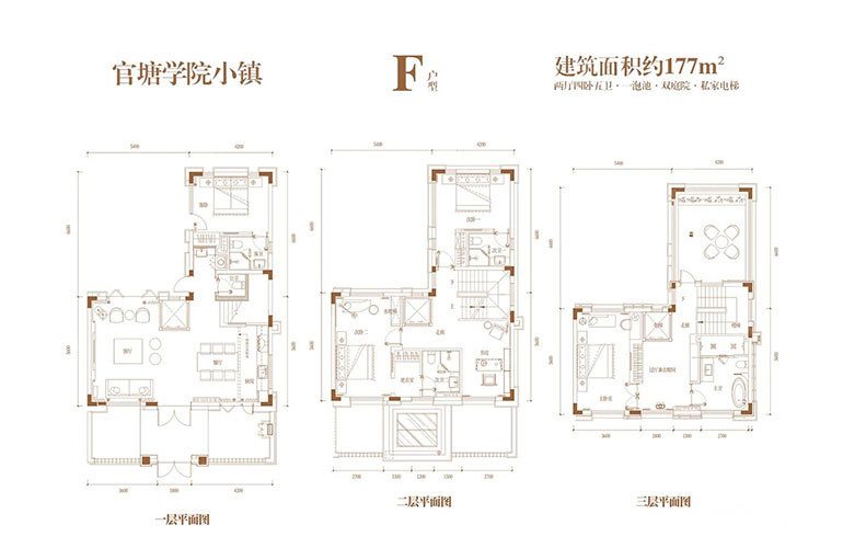 F户型