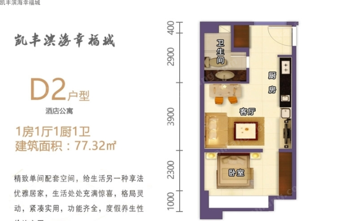 凱豐濱海幸福城D2戶型圖