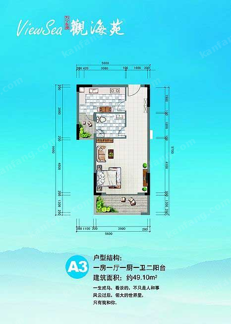 半岛观海苑A3户型1室1厅1卫1厨-49.10㎡