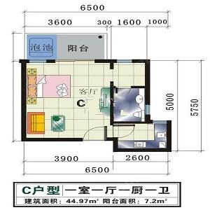 兴隆温泉高尔夫度假公寓二期 C户型