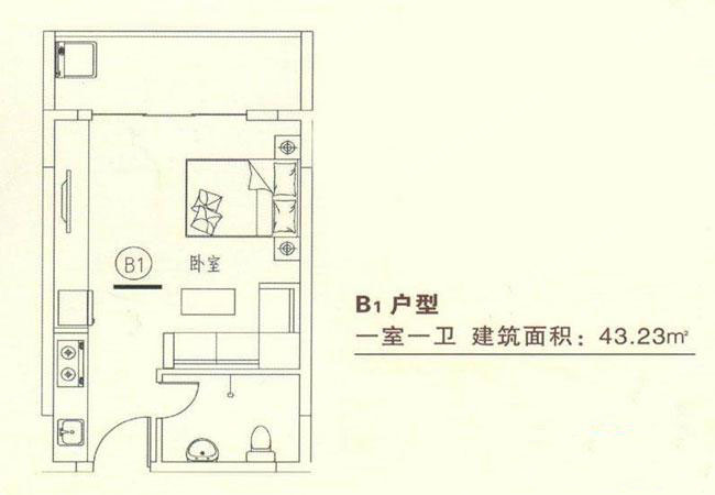 龍溪雅居B1戶型1室1衛(wèi)1廚-43.00㎡