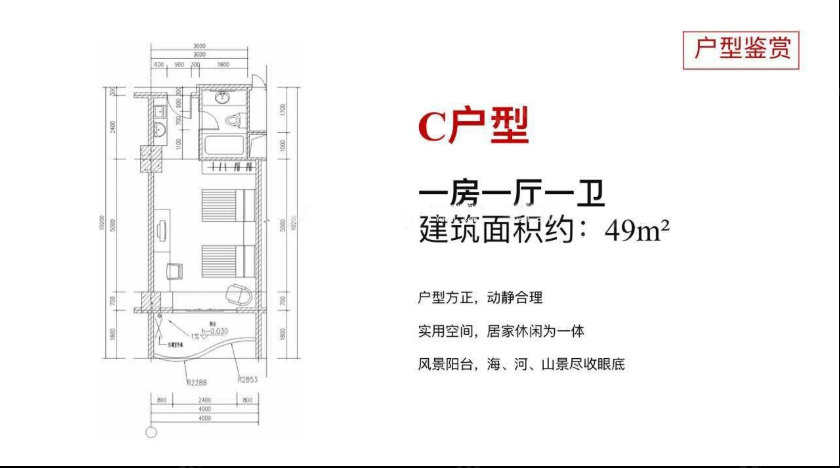 三亞柏瑞精品酒店公寓 C戶型 1室1廳1衛(wèi) 49㎡