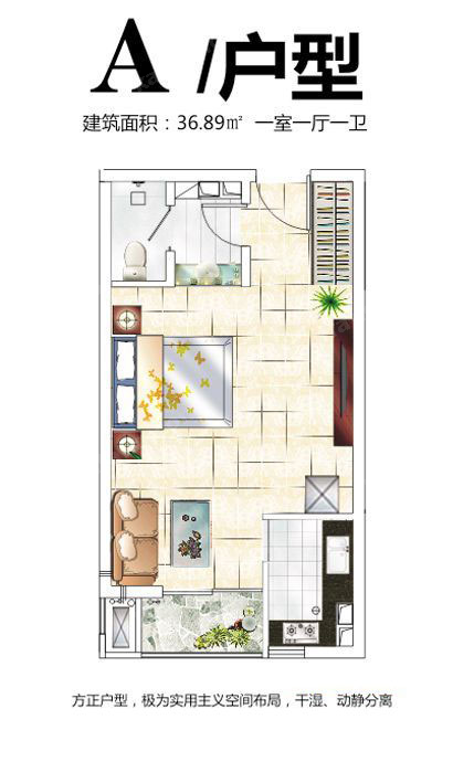 中央公寓A11室1卫1厨 36.89㎡