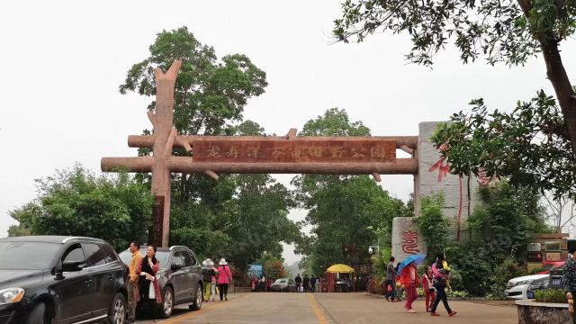 龍壽洋萬(wàn)畝田野公園